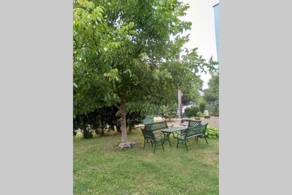 Hannah - Relax Dom Pod Orechom I4 Travnica Bagian luar foto